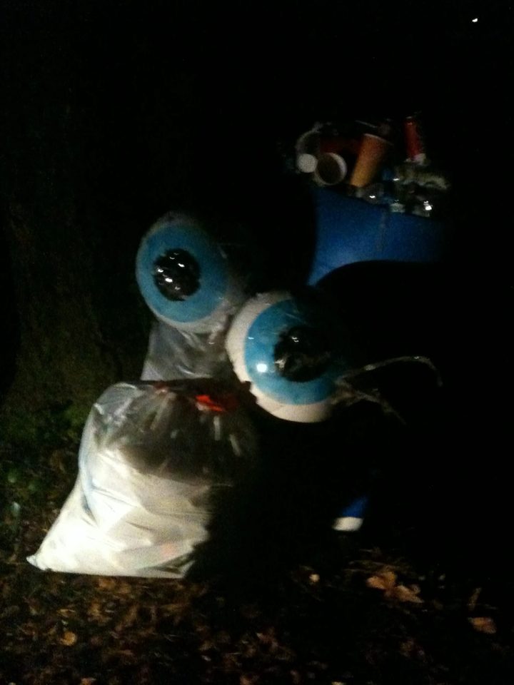 The early Zerble's big blue eyeballs glinting in the dark at a festival campsite.